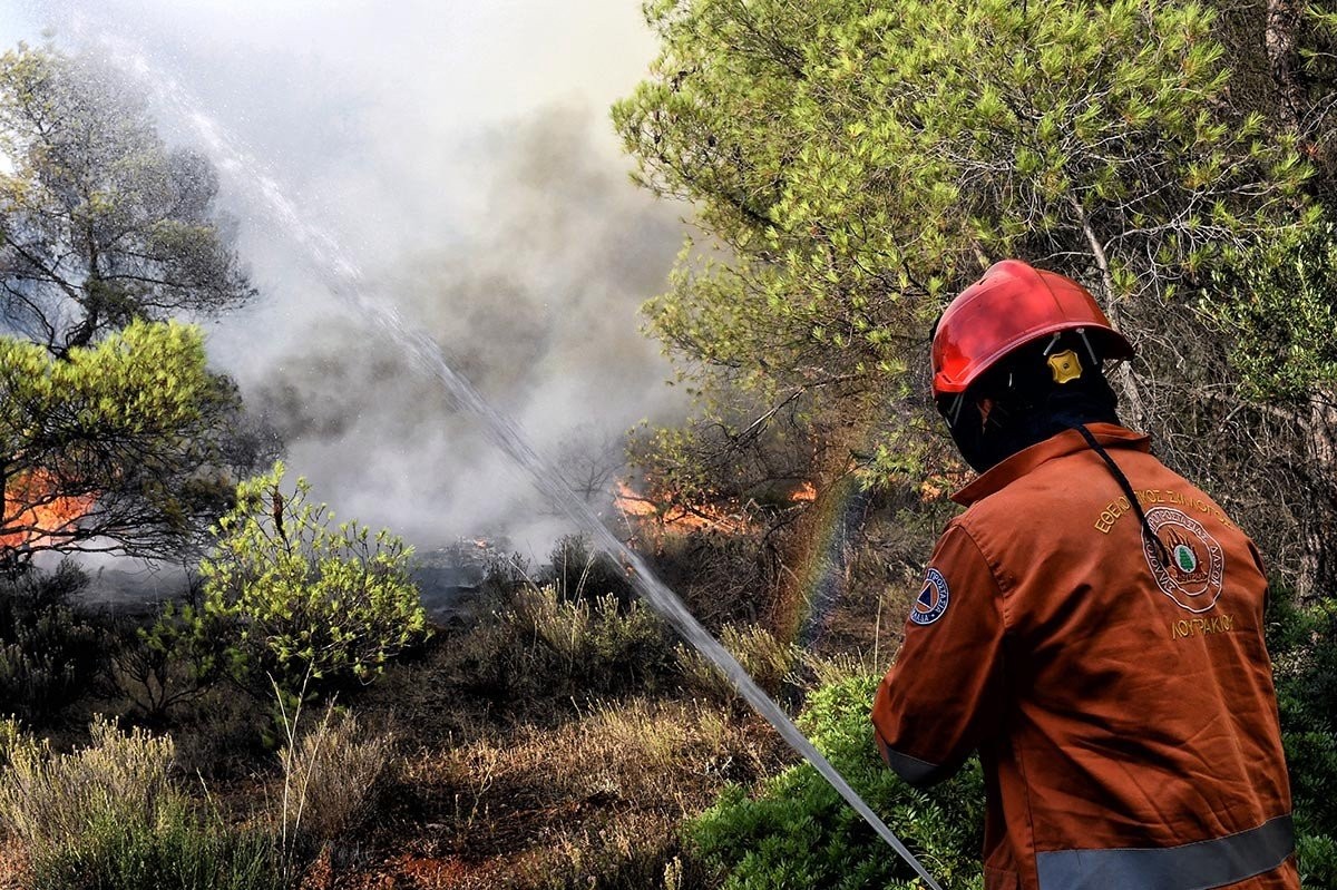 Αγία Τριάδα Βοιωτίας: Φωτιά τώρα σε αγροτοδασική έκταση - Σηκώθηκαν εναέρια μέσα